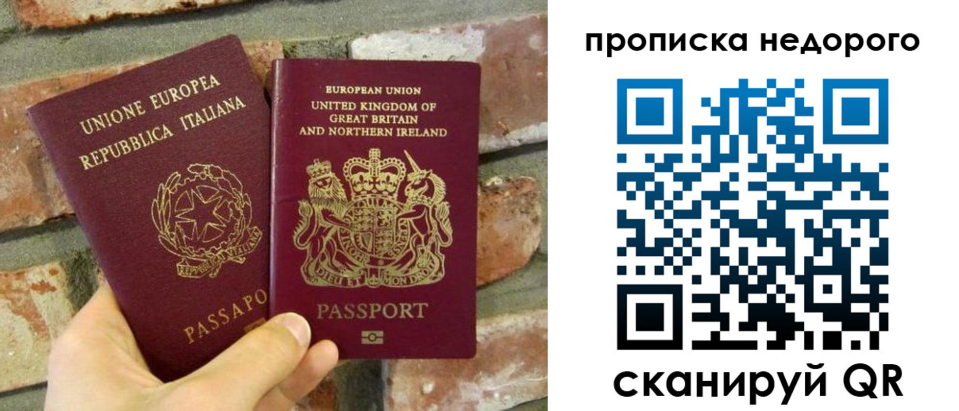 прописка поиск в Дмитрове